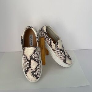 Steve Madden Gills Stylish Leather Snakeskin Sneakers